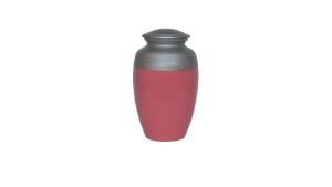 ADDvantage Casket Blue Pink urn with silver top
